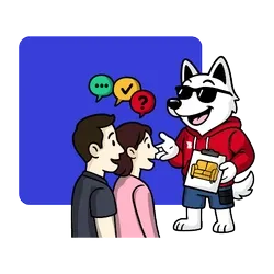 Brodi tłumaczy i doradza